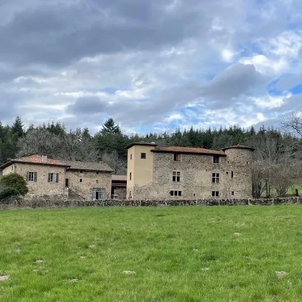 Château du Bouy，位于Champétières的酒店