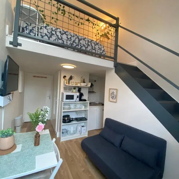 Lespinet BNB - Duplex avec parking，位于图卢兹的酒店