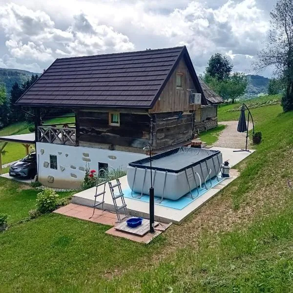 Apartments Pajek & Pajčevina on the Hayrack，位于Dobje pri Lesičnem的酒店