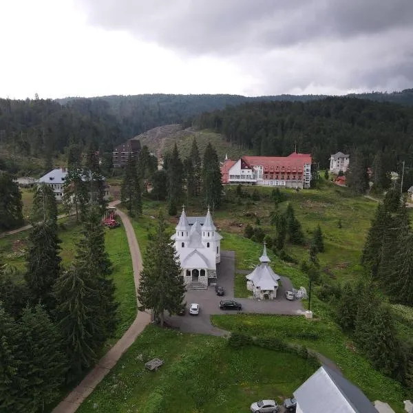 Hotel Iadolina，位于斯塔纳德瓦勒的酒店