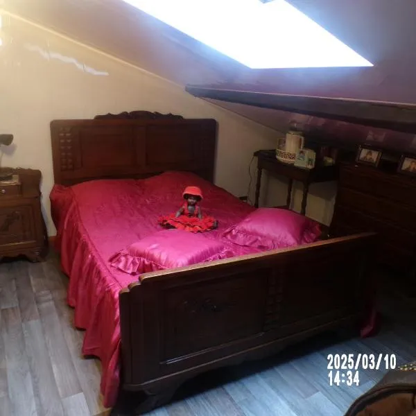 chambre chez l'habitant chez myriame，位于Eurville的酒店