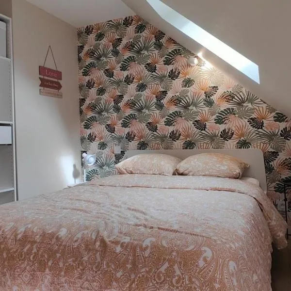 Votre Refuge Urbain Logement Complet pour Étudiants et Pros，位于富热尔的酒店