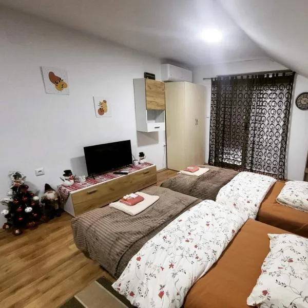 Apartman Centar Strpce，位于Štrpce的酒店
