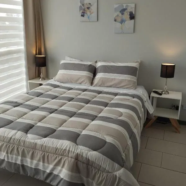 Departamento Estudio Lugano，位于特木科的酒店