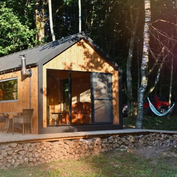 Here & Now Tiny House，位于Sudvariškės的酒店