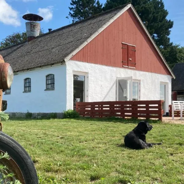Dambækgaard Sustainable Farm，位于Hårlev的酒店