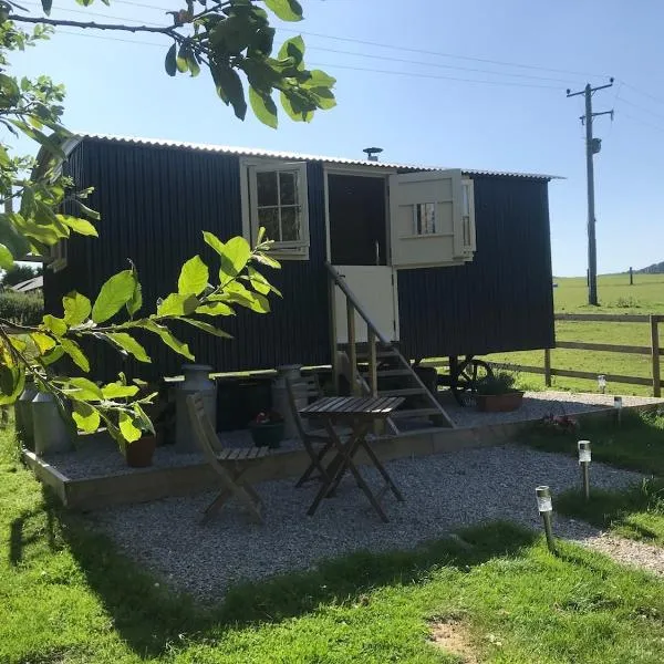 Phoenix Farm Shepherds Hut,Minions, Cornwall，位于利斯卡德的酒店