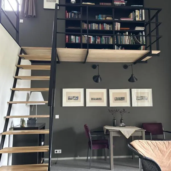 Dorpsstudio，位于Noordwolde的酒店