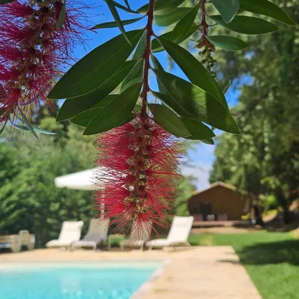 Refúgio da Cigarra，位于托马尔的酒店