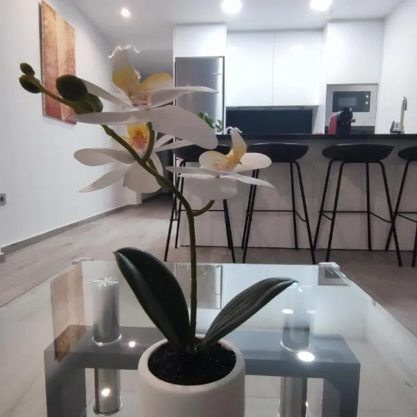 Apartamento Victoria home，位于埃尔切的酒店