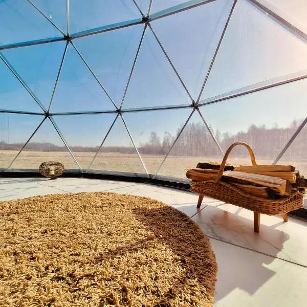 Miško Pašvaistėje - poilsis gamtoje，位于Balneliškiai的酒店