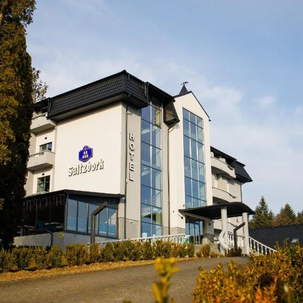 Saltzbork，位于Staraya Solʼ的酒店