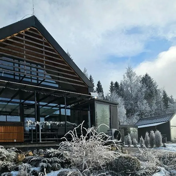 Lakeforest Dedinky Wellness Chata privát jacuzzi aj sauna, výhľad na jazero，位于德丁基的酒店