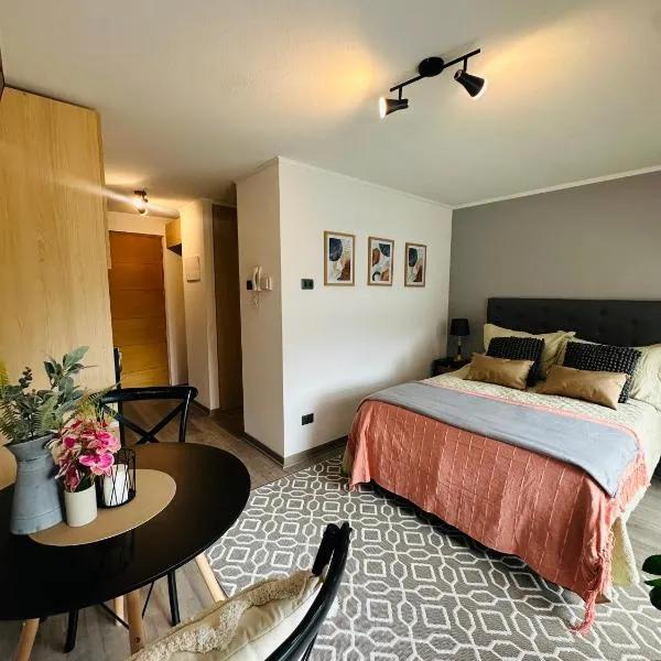 Hermoso Estudio，位于康塞普西翁的酒店