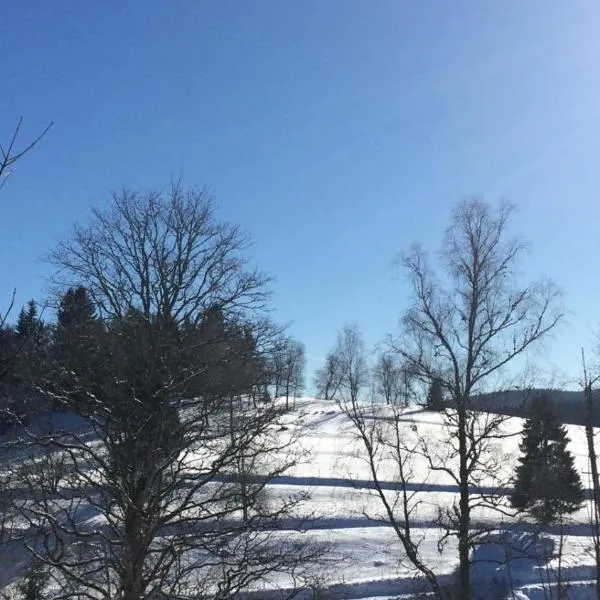 Surki's Loggia an der Sonne，位于施卢赫湖的酒店