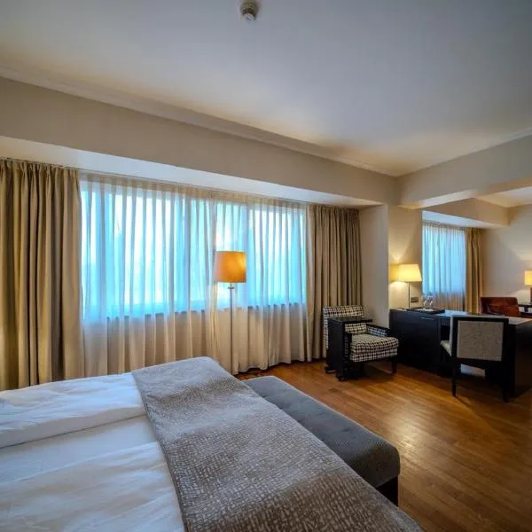 Hotel Rivo Timisoara，位于蒂米什瓦拉的酒店