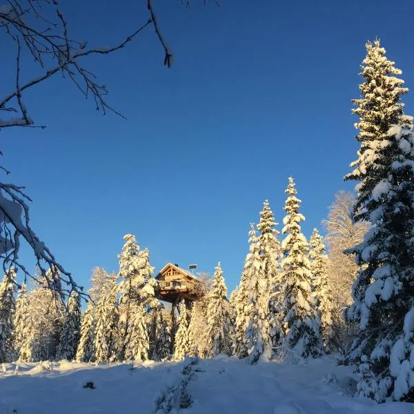 Faråsen Luxury Treetop Cabin - Sleep Among the Trees，位于Ringsaker的酒店
