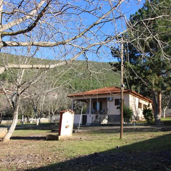 Raise Polydrosos Family Lodge，位于波利兹罗松的酒店