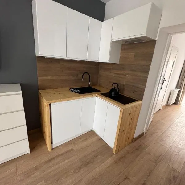 Guben Wohnungen apartament，位于古本的酒店