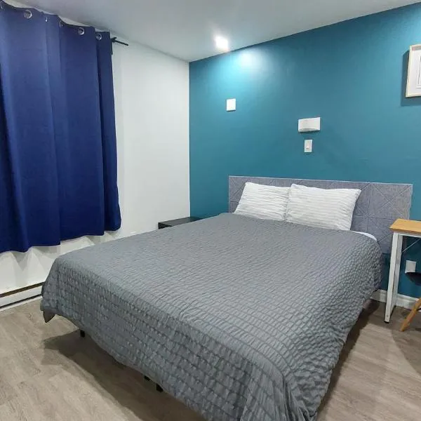 APD HOTEL，位于蒙特利尔的酒店