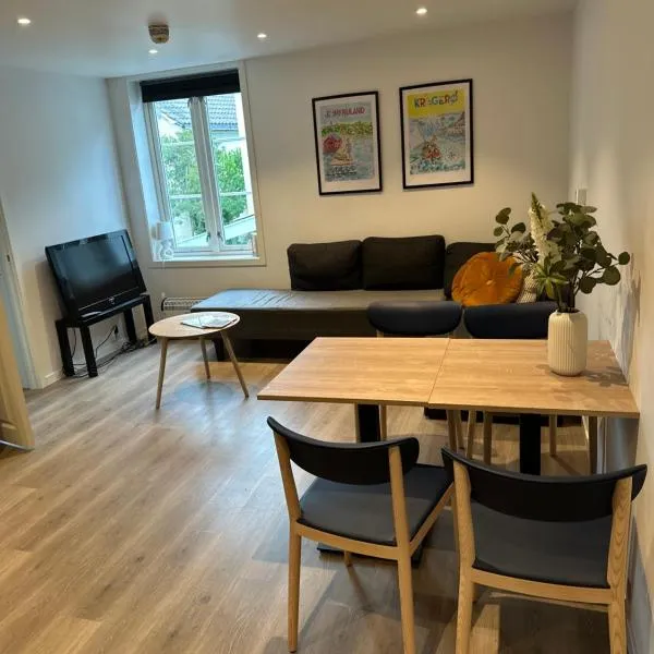Apartment in the center of Kragerø，位于克拉格勒的酒店