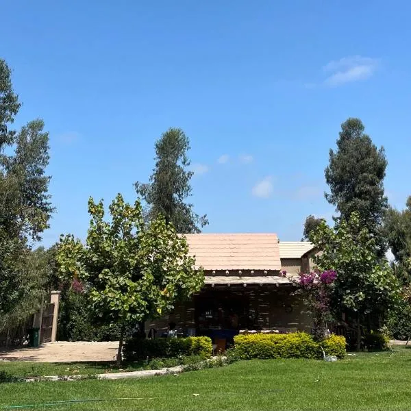 Bungalow 23，位于El Carmen的酒店