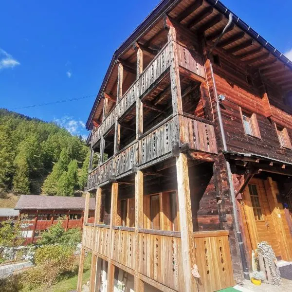Chalet Edi，位于明斯特的酒店