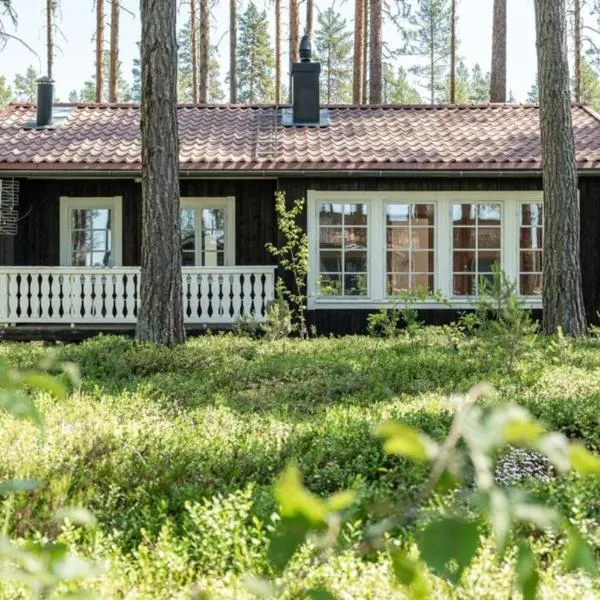 Sunshine Stuga Mörtsjön，位于Stugun的酒店