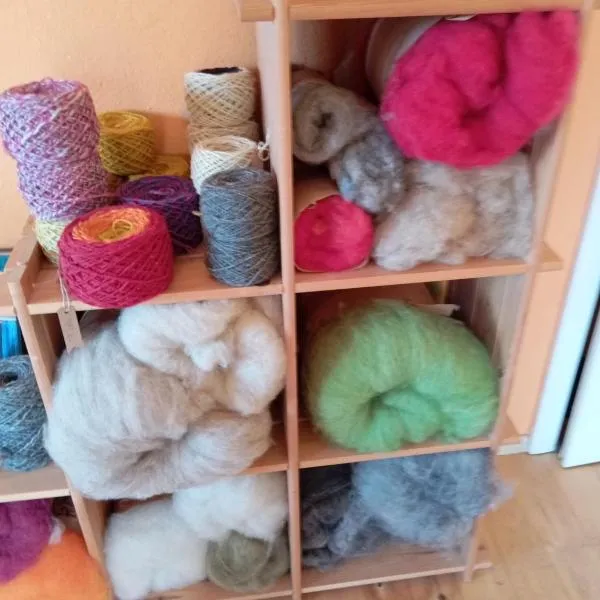 Wollwerkstatt Vulkaneifel，位于Borler的酒店