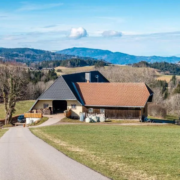 Brosihof，位于Erlenbach的酒店