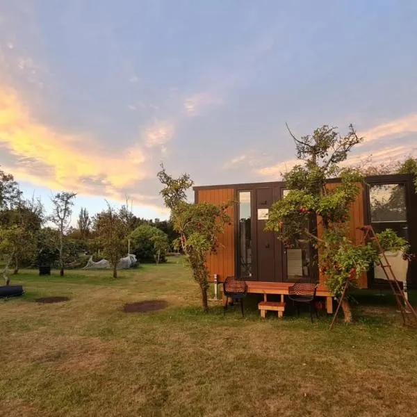 Applewood Cabin 2 by Tiny Away，位于基督城的酒店