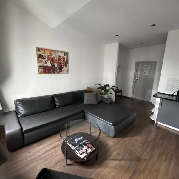 Apartamenty Młyńska15 self check-in 24h，位于卡托维兹的酒店