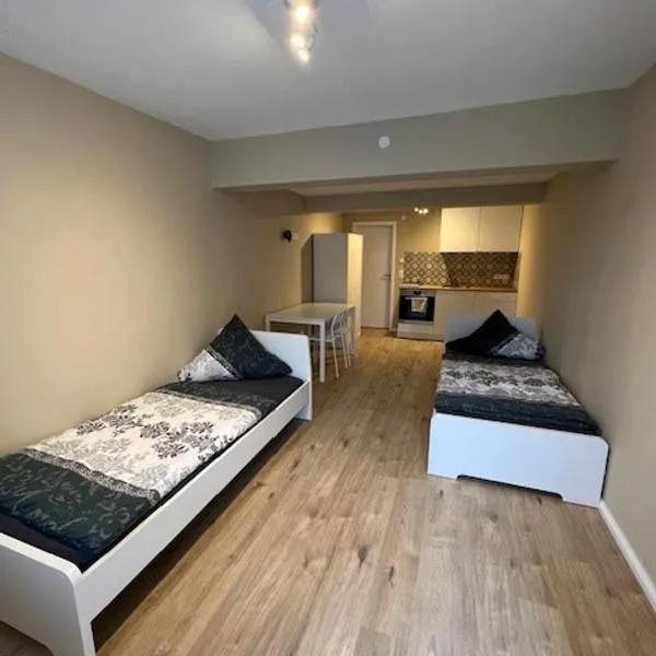 Moon Monteur Apartment，位于罗登巴赫的酒店