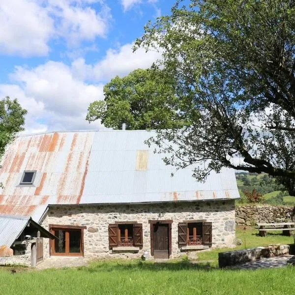 La Fermette de Loucheyre，位于Saint-Amandin的酒店