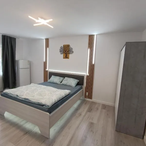 Garsoniera luxury，位于奥勒什蒂耶的酒店