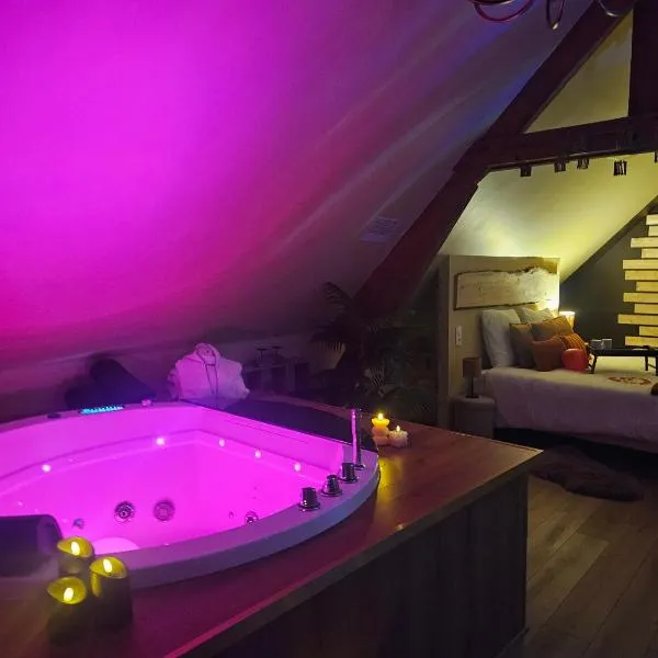 Appart Cosy avec SPA privatif proximité Lille, Le Chalet，位于La Bassée的酒店