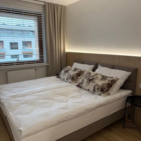 Apartament DeLuxe Targowa，位于加尔沃林的酒店