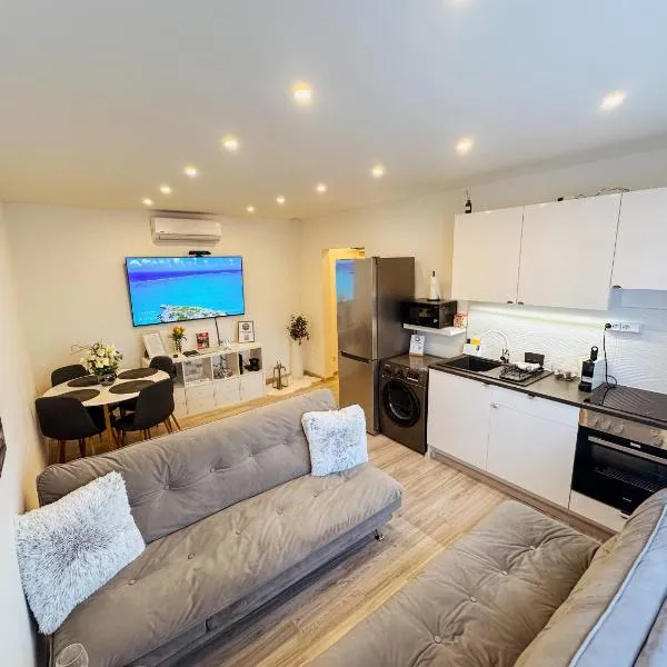 Palace City Apartman,T13, AC, Klima，位于塞克希费黑瓦尔的酒店