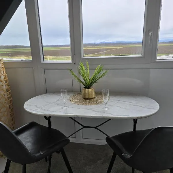 Appartement Confort avec parkings gratuits，位于Andolsheim的酒店