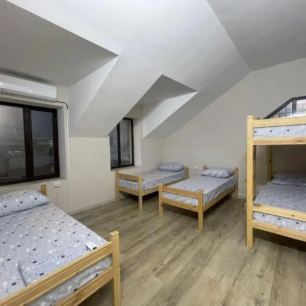 Hostel Vertum，位于基希讷乌的酒店