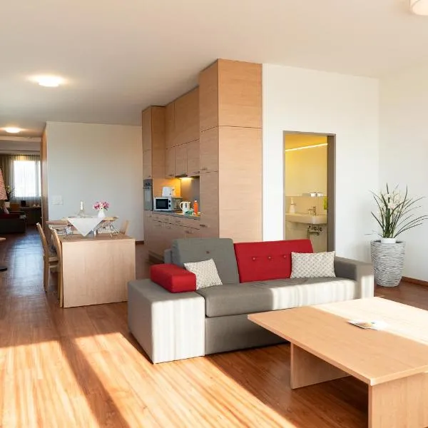 SwissEver Hotel Zug，位于楚格的酒店