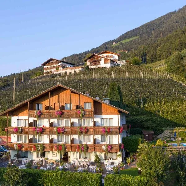 Panorama Hotel St Georgen，位于思科纳的酒店