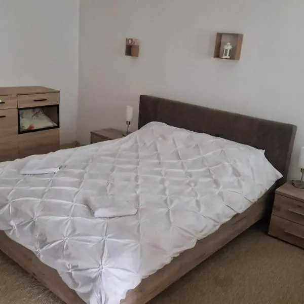 Apartament 3 Closca，位于弗洛雷什蒂的酒店