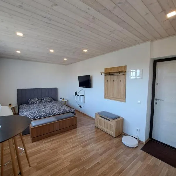 Apartment in Vana-Pärnu，位于派尔努的酒店