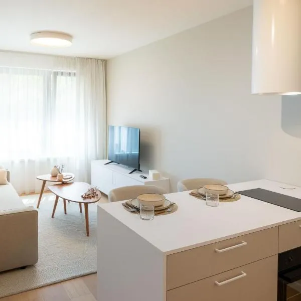 Aurora Apartments，位于布拉迪斯拉发的酒店