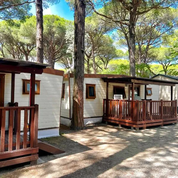 Buona Mobile Homes on Camping Mare e Pineta，位于丽都斯皮纳的酒店