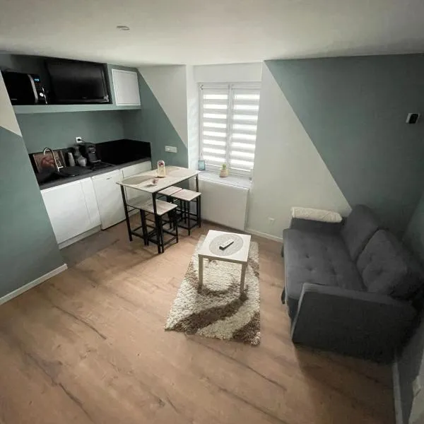 Sublime studio en face de la Moselle，位于Chavelot的酒店