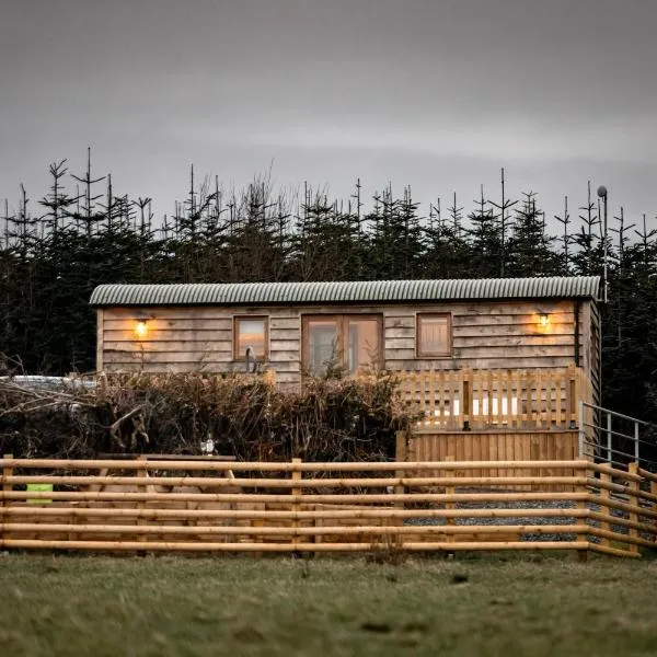 Gower Fresh Shepherds Hut，位于盆克勒伍德的酒店