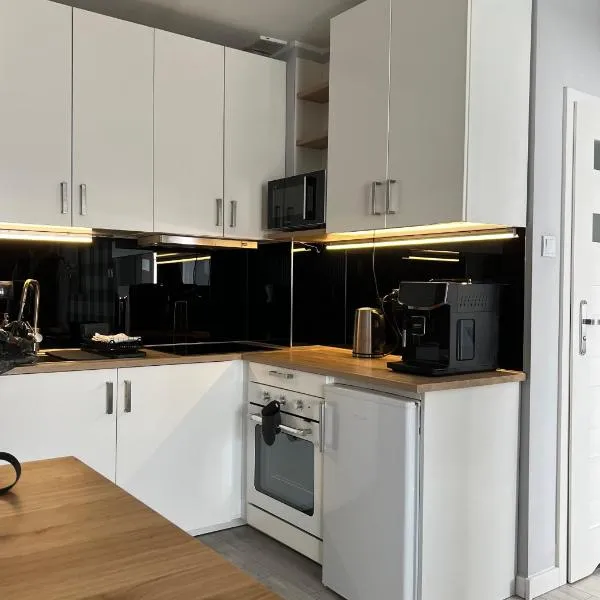 Apartament City Rent Płock 2，位于普沃茨克的酒店