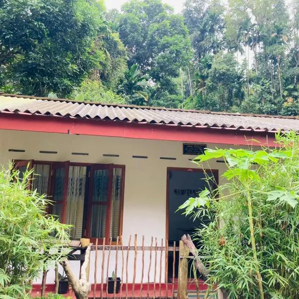 Sinharaja Pitadeniya Villa，位于代尼耶耶的酒店